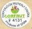 Corfrut