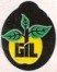 gil
