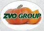 ZVO Group