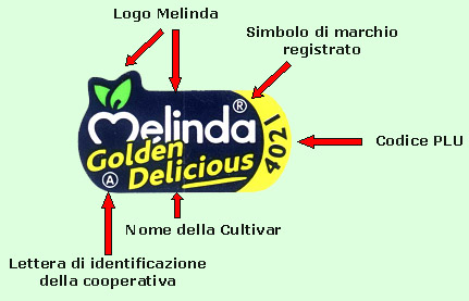 info1