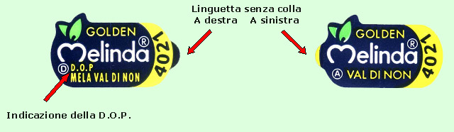 info2