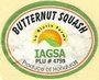 IAGSA