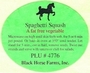 Black Horse Farms