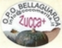 Bellaguarda