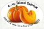 Talassi