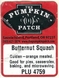The Pumpkin Path