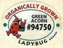 Ladybug