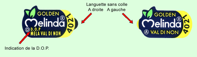 info2