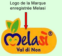 info3