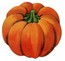 Squash
