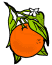 citrus