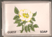 hotelsoap1